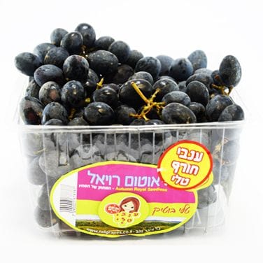 ענבי חורף- ענבי טלי