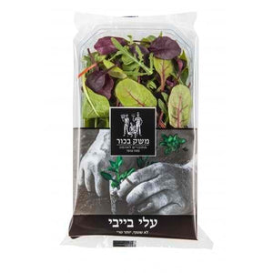 עלי בייבי משק בכור