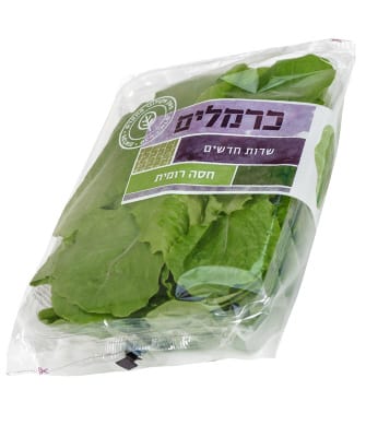 חסה רוסית