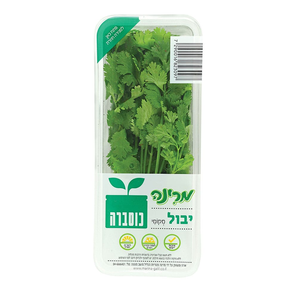 כוסברה מרינה